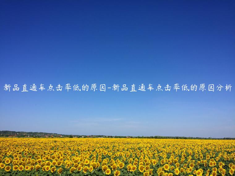 新品直通车点击率低的原因-新品直通车点击率低的原因分析