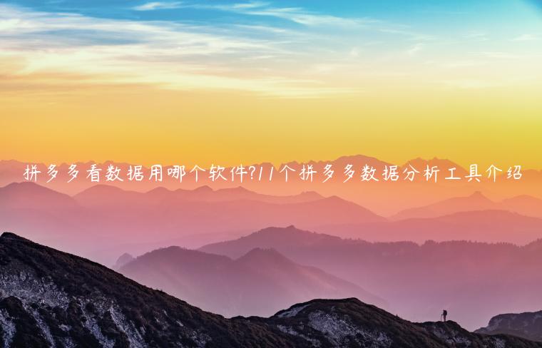 拼多多看数据用哪个软件?11个拼多多数据分析工具介绍