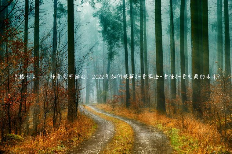 点播未来——抖音元宇宙论！2022年如何破解抖音算法-看懂抖音电商的未来?