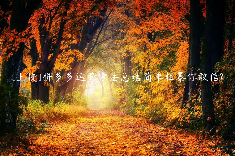 拼多多运营方法总结简单粗暴你敢信?
