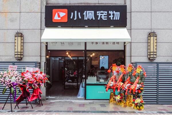 宠物店连锁品牌排行前十名2022最新排名前十名对比