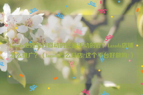 Lazada全效宝开自动的还是手动的好？Lazada店铺怎么推广？（lazada怎么开店?这个平台好做吗?）