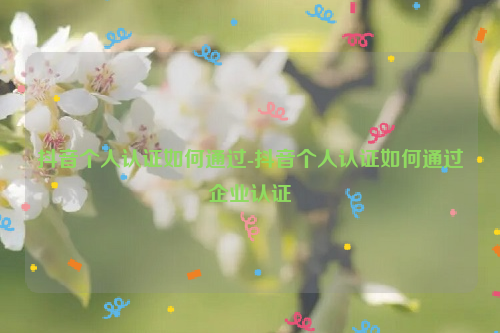 抖音个人认证如何通过-抖音个人认证如何通过企业认证