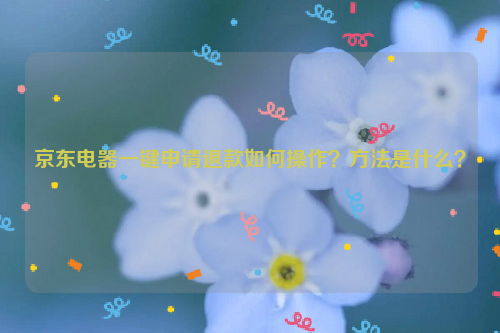 京东电器一键申请退款如何操作？方法是什么？