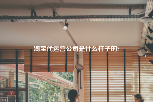 淘宝代运营公司是什么样子的?