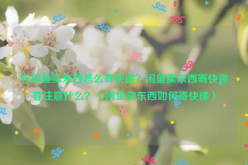 在闲鱼卖东西怎么寄快递？闲鱼卖东西寄快递要注意什么？（闲鱼卖东西如何寄快递）