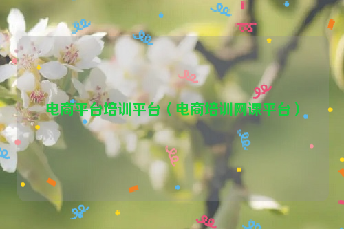 电商平台培训平台（电商培训网课平台）