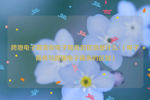 跨境电子商务和电子商务的区别是什么?（电子商务与跨境电子商务的区别）