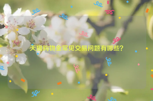 天猫购物金常见交易问题有哪些？