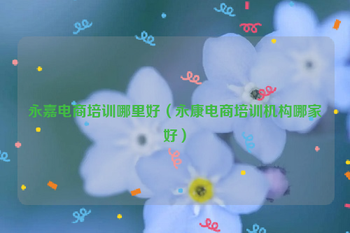 永嘉电商培训哪里好（永康电商培训机构哪家好）