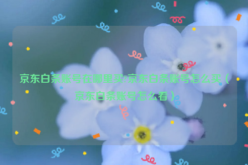 京东白条账号在哪里买?京东白条账号怎么买（京东白条账号怎么看）