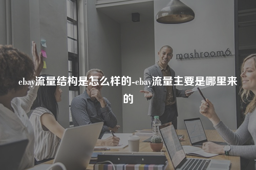 ebay流量结构是怎么样的-ebay流量主要是哪里来的