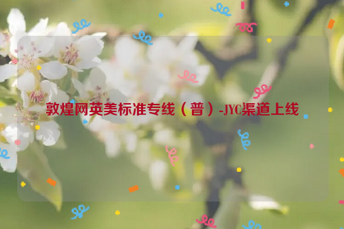 敦煌网英美标准专线（普）-JYC渠道上线