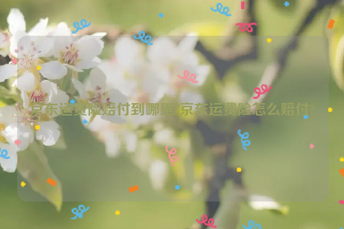京东运费险赔付到哪里?京东运费险怎么赔付?