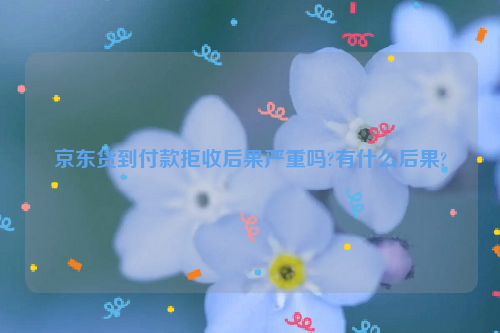 京东货到付款拒收后果严重吗?有什么后果?