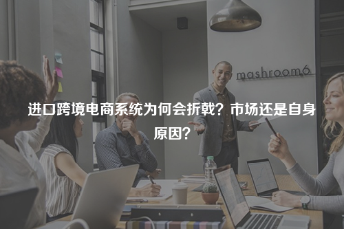 进口跨境电商系统为何会折戟？市场还是自身原因？