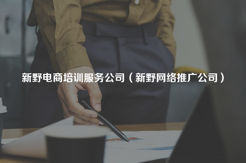 新野电商培训服务公司（新野网络推广公司）