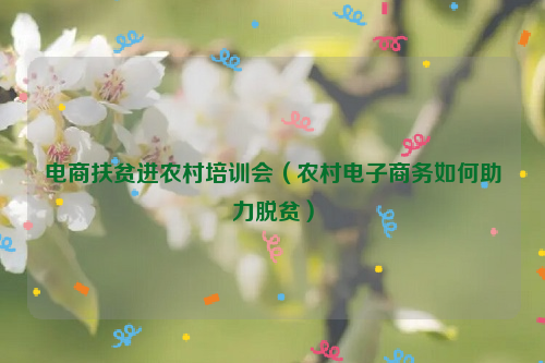 电商扶贫进农村培训会（农村电子商务如何助力脱贫）