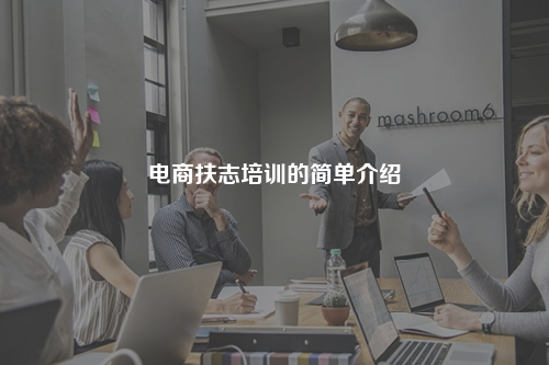 电商扶志培训的简单介绍