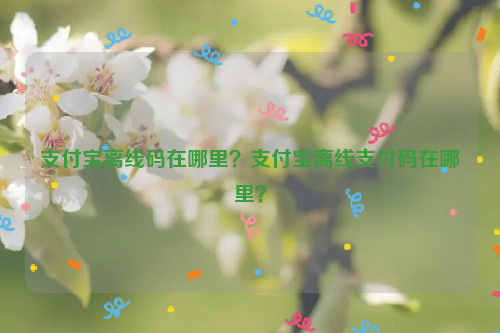 支付宝离线码在哪里？支付宝离线支付码在哪里？