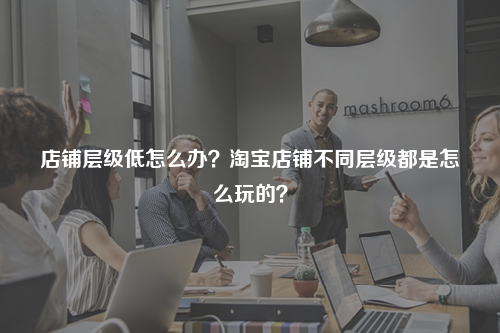 店铺层级低怎么办？淘宝店铺不同层级都是怎么玩的？