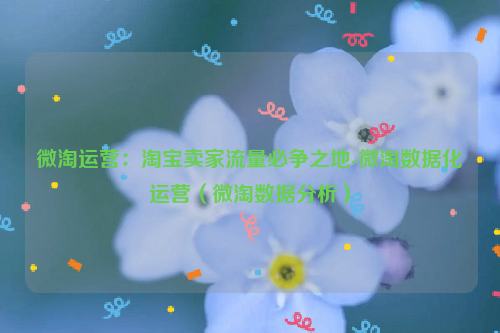 微淘运营：淘宝卖家流量必争之地-微淘数据化运营（微淘数据分析）
