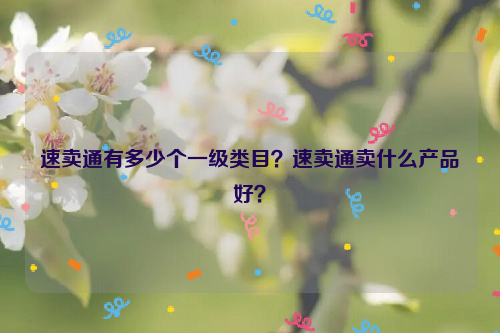 速卖通有多少个一级类目？速卖通卖什么产品好？