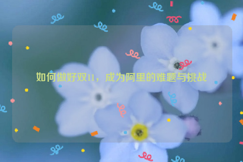 如何做好双11，成为阿里的难题与挑战