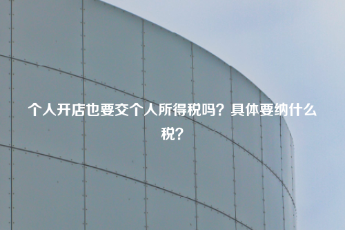个人开店也要交个人所得税吗?具体要纳什么税?