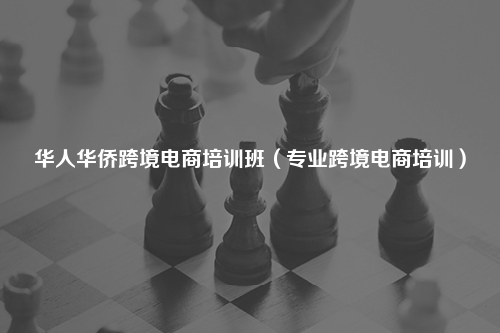 华人华侨跨境电商培训班（专业跨境电商培训）