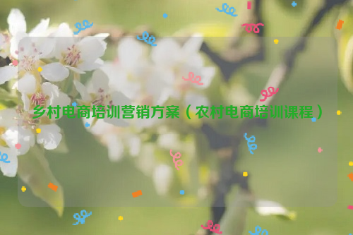 乡村电商培训营销方案（农村电商培训课程）