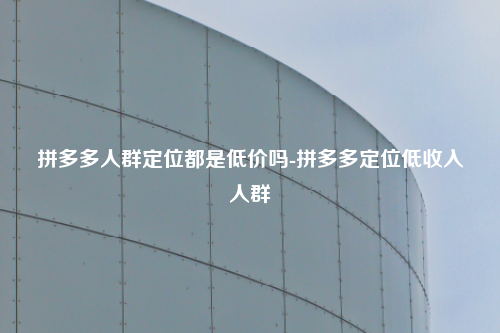 拼多多人群定位都是低价吗-拼多多定位低收入人群