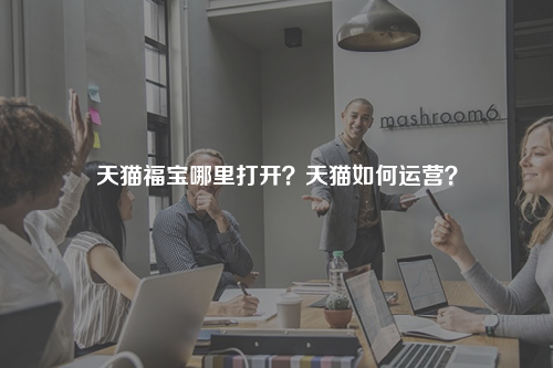 天猫福宝哪里打开？天猫如何运营？