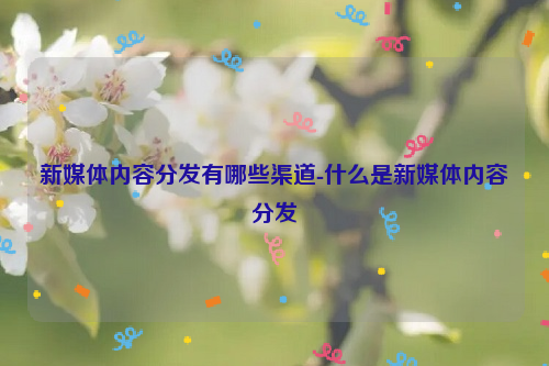 新媒体内容分发有哪些渠道-什么是新媒体内容分发