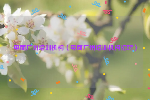 电商广州培训机构（电商广州培训机构招聘）