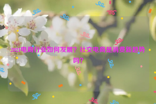 2021电商行业如何发展？社交电商是消费新趋势吗？