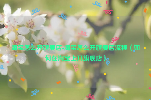 淘宝怎么开旗舰店-淘宝怎么开旗舰店流程（如何在淘宝上开旗舰店）