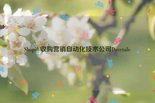 Shopify收购营销自动化技术公司Dovetale