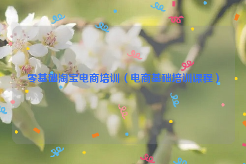零基础淘宝电商培训（电商基础培训课程）