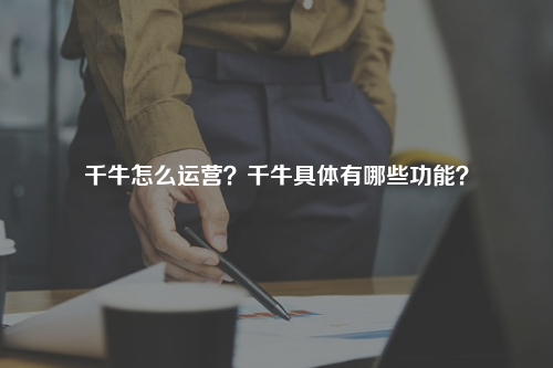 千牛怎么运营？千牛具体有哪些功能？