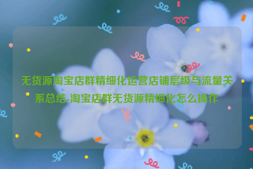 无货源淘宝店群精细化运营店铺层级与流量关系总结-淘宝店群无货源精细化怎么操作