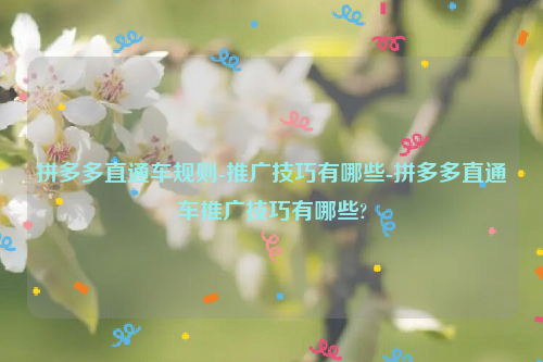拼多多直通车规则-推广技巧有哪些-拼多多直通车推广技巧有哪些?