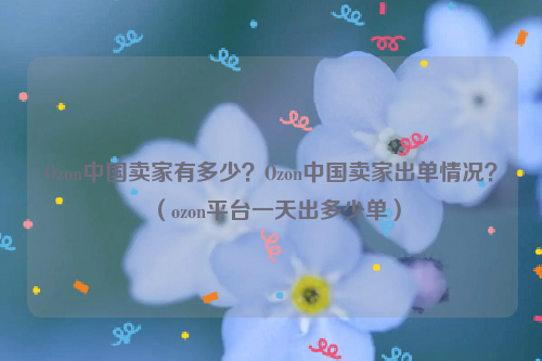 Ozon中国卖家有多少？Ozon中国卖家出单情况？（ozon平台一天出多少单）