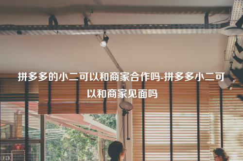 拼多多的小二可以和商家合作吗-拼多多小二可以和商家见面吗