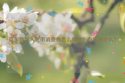 京东数字人民币消费券怎么领取？方法是什么？