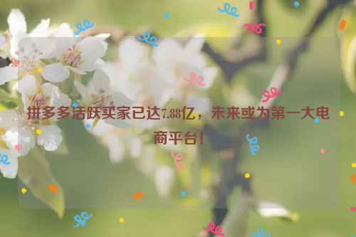 拼多多活跃买家已达7.88亿，未来或为第一大电商平台！