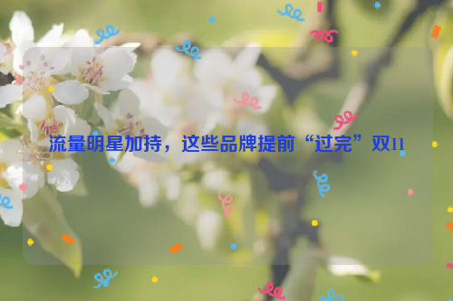 流量明星加持，这些品牌提前“过完”双11