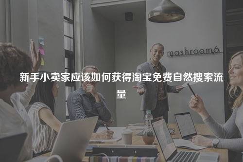 新手小卖家应该如何获得淘宝免费自然搜索流量