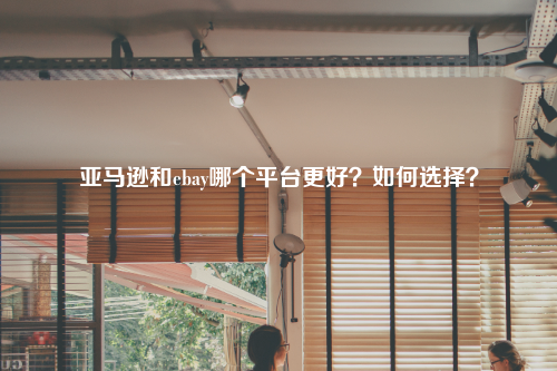 亚马逊和ebay哪个平台更好？如何选择？