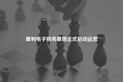康利电子商务基地正式启动运营